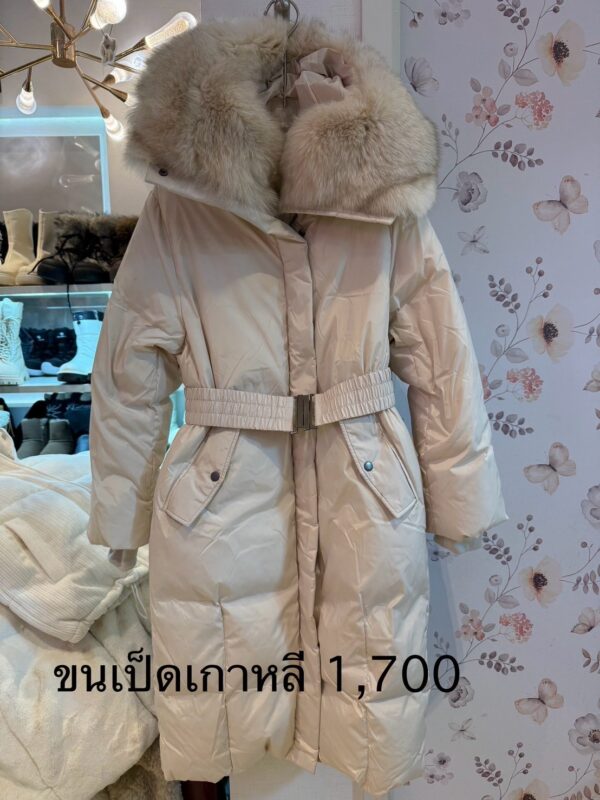 เสื้อขนเป็ด เกาหลี